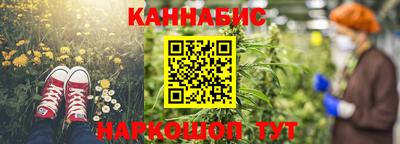 гидра Лесосибирск