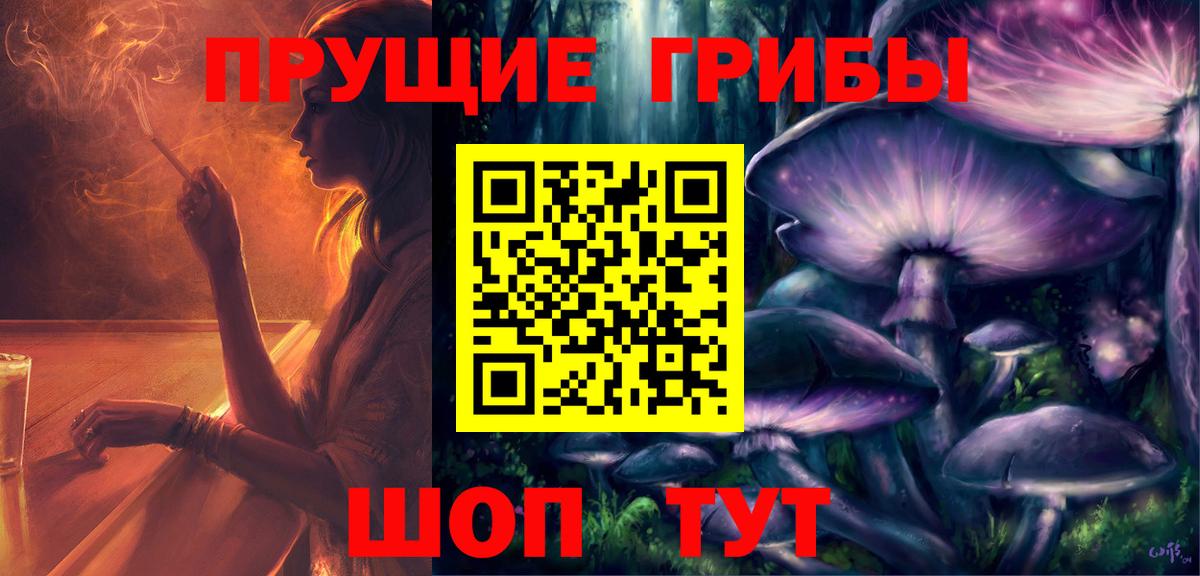 Камень-на-Оби  Псилоцибиновые грибы Psilocybe  Вход с VPN  Галлюциногенные грибы прущие грибы 